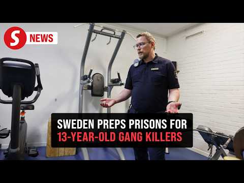 What to do about children who kill: Sweden's crime debate thumbnail