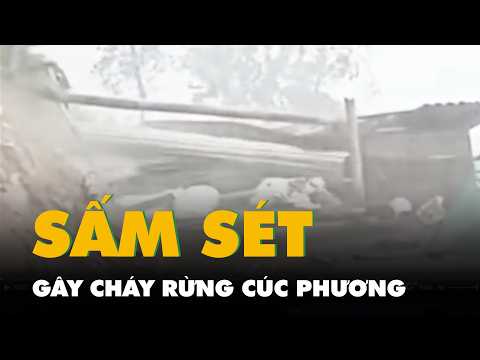 Video dông kèm sấm sét gây cháy rừng Cúc Phương, giật sập nhiều gian hàng hội chợ thumbnail