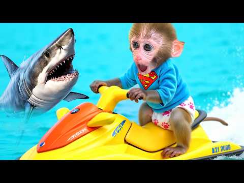 Monkey Baby Bon Bon and the Duckling arrive The Giant Pizza Party and the Secret of the Magic Wand. thumbnail