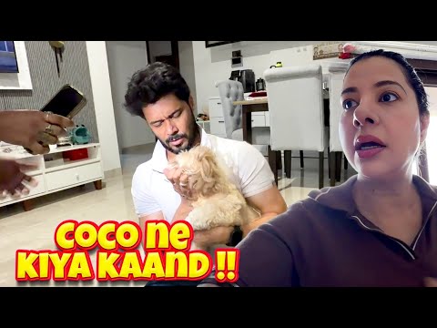 COCO TOY NIGAL GAYA? thumbnail