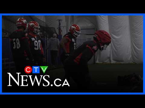 Rookie punter stepping in for Stampeders season opener thumbnail