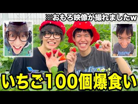 【神画角】いちご100個食べ放題が新しい映像過ぎて大爆笑ｗｗｗｗｗｗ thumbnail