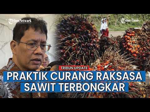 RAKSASA SAWIT Ketar Ketir Aksi Manipulasi Harga Ekspor Dibongkar Purbaya? thumbnail