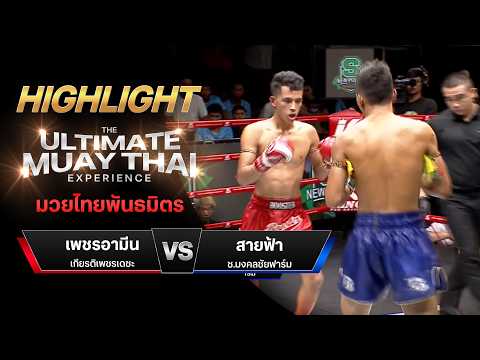 ไฮไลท์มวยไทย มวยไทยพันธมิตร : เพชรอามีน เกียรติเพชรเดชะ พบ สายฟ้า ช.มงคลชัยฟาร์ม thumbnail