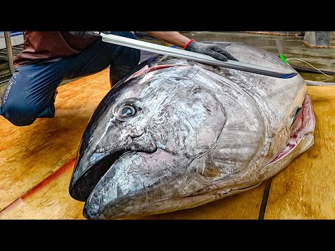 $10,000+ Fish! Satisfying Giant Bluefin Tuna Cutting Skills, Luxurious Sashimi / 黑鮪魚切割技巧, 金三角生魚片 thumbnail