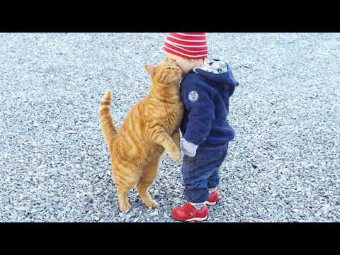 This Cat Loves the Baby More Than Anyone ?? | Cutest Friendship Ever thumbnail