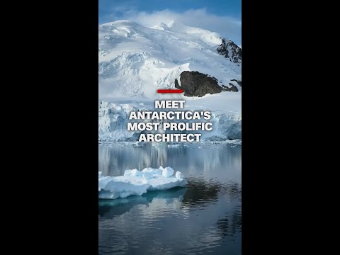Meet Antarctica's most prolific architect thumbnail