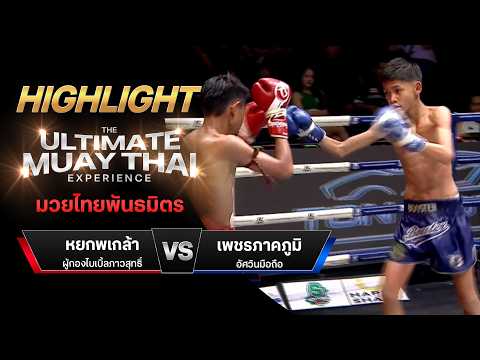 ไฮไลท์มวยไทย มวยไทยพันธมิตร : หยกพเกล้า ผู้กองไบเบิ้ลภาวสุทธิ์ พบ เพชรภาคภูมิ อัศวินมือถือ thumbnail