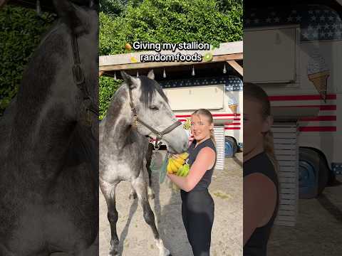 My stallion tries random foods 🥦🥝🍍🍌 #horsetriesfood #horses #equestrian #animals #stallion thumbnail