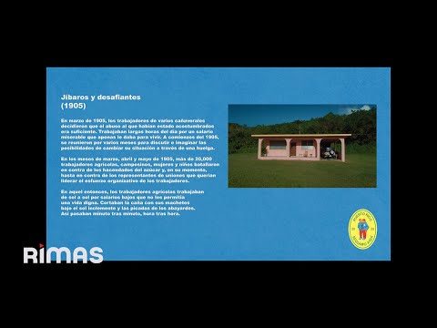 BAD BUNNY - EL CLúB (Visualizer) | DeBÍ TiRAR MáS FOToS thumbnail