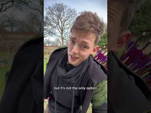 How do you make a bow safe? thumbnail