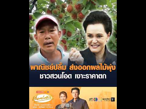 พาณิชย์ปลื้ม ส่งออกผลไม้พุ่ง ชาวสวนโอด เงาะราคาตก thumbnail