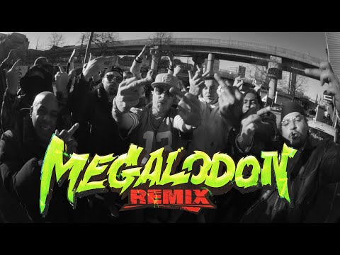 bissu dumm ¿ MEGALODON REMIX thumbnail
