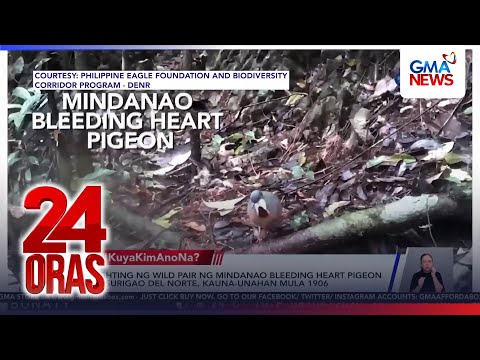 #KuyaKimAnoNa? Express (May 12-16, 2026) - Pinagbalatan ng cobra; Bata... | 24 Oras thumbnail