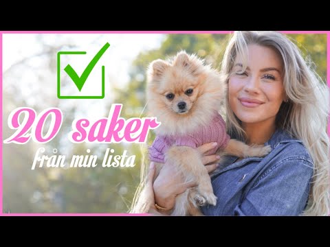 GÖR 20 SAKER FRÅN MIN TO-DO LIST thumbnail