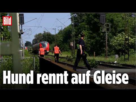 DRAMA IN VIERSEN: Regionalzug erfasst Mann – Fahrgäste unter Schock thumbnail