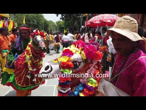 Chaiti Ghoda Nacha and drummers bring Odisha's culture during the Jagannath Ratha Yatra in Delhi thumbnail
