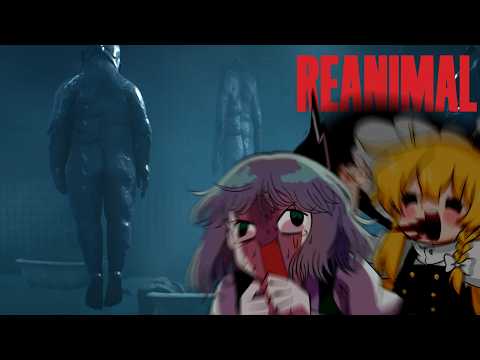 規制される前に見てくれ thumbnail