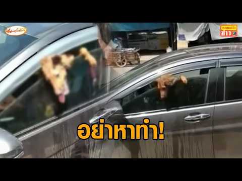 นาทีพลเมืองดีช่วยชีวิตสุนัข 2 ตัวถูกทิ้งในรถกลางแดดร้อนจัด ร้องดิ้นทุรนทุรายน่าเวทนา thumbnail