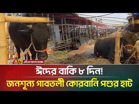 ঈদের বাকি ৮ দিন! এখনো জমে উঠেনি গাবতলী কোরবানি পশুর হাট | ATN Bangla News thumbnail