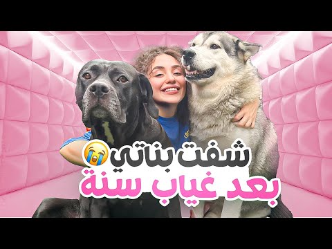 شفت بناتي بعد غياب سنة 🥹 thumbnail