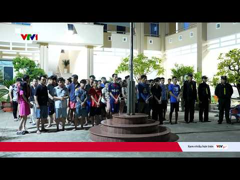 Hành trình lần theo dòng chảy ma túy, bắt giữ, khởi tố hơn 170 đối tượng | VTV24 thumbnail