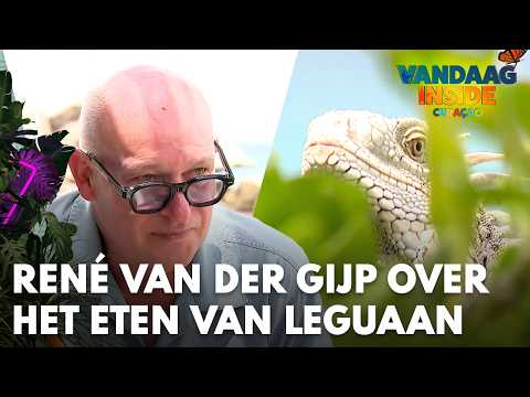 De Krantjes: René van der Gijp vertelt op geheel eigen wijze over het eten van leguaan: 'Boomkip!' thumbnail