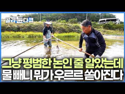 물이 고인 논바닥을 족대로 한 바퀴 싹 쓸었더니 대박ㅣ하나도 아니고 아들 둘씩이나 서울 살이 지겹다고 다시 돌아왔다ㅣ한국기행ㅣ#골라듄다큐 thumbnail