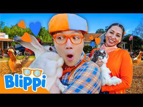 Be Kind to Animals (feat. Aprende Peque) 🎵 thumbnail