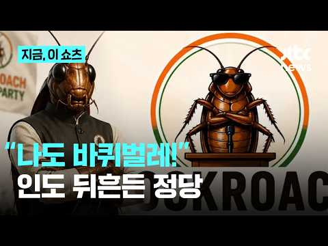 "미취업 청년은 바퀴벌레" 대법원장 폭언에 인도 '바퀴벌레국민당' 돌풍｜지금 이 쇼츠 thumbnail