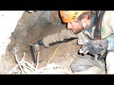 Scientists Say Nests Of Bearded Vultures Contain Many Clues To The Past thumbnail