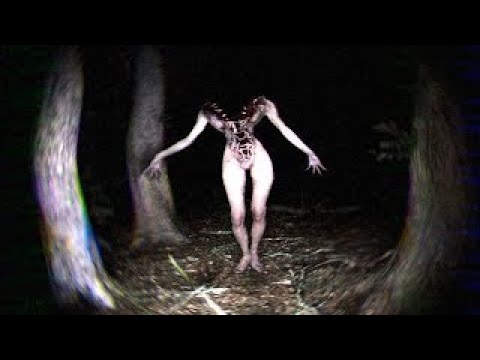 【DE JuN】恐怖到直接退費的遊戲！多人恐怖don't scream together thumbnail