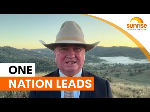 One Nation overtakes Labor in national polling | Sunrise thumbnail