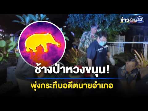 ช้างป่าหวงขนุน! พุ่งกระทืบอดีตนายอำเภอ l ตลาดข่าว - ข่าวเช้าเวิร์คพอยท์ l 30 พ.ค.69 thumbnail
