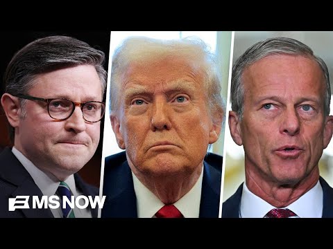 'Different kind of political animal': Panel breaks down Trump's grip on the GOP thumbnail