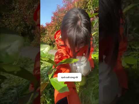 Thử thách sinh tồn trong mê cung khổng lồ! thumbnail