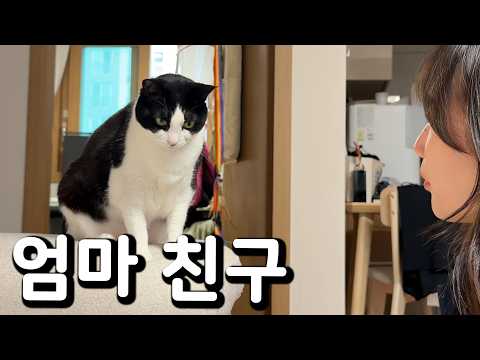 아빠가 가고 이모가 왔다 thumbnail