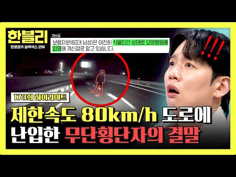 [하이라이트] (경악) 대낮에도 한밤중에도... 시도 때도 없는 공포의 무단횡단자 난입? | JTBC 260513 방송 thumbnail