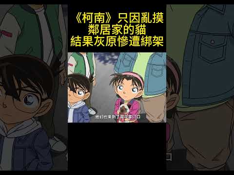 《柯南》只因亂摸鄰居家的貓，結果灰原慘遭綁架！ #動漫 #可愛看動漫 #动漫 #動畫解題 #電影 #明智小五郎 #anime #动画推荐 #二次元 #搞笑 thumbnail