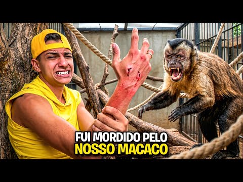 MEU MACACO DE ESTIMAÇÃO ME MORDEU *Machucou muito ?  thumbnail