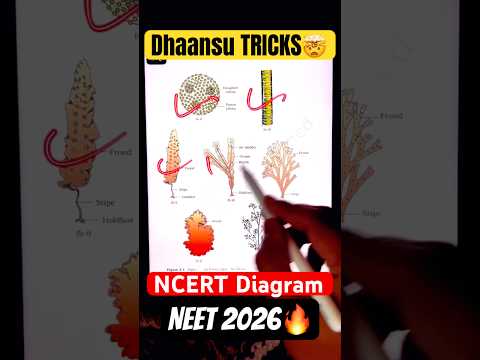 Tricks❌  Logic✅ | Ncert Diagrams With GUARANTEE?Neet 2026 thumbnail