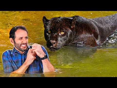 VIMOS uma PANTERA NEGRA em ITAIPU! Como a USINA cuida da ÁGUA? thumbnail