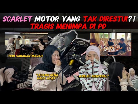 SCARLET SPORTBIKE TIDAK DIRESTUI❗️TRAGEDI DI PD, ASSLAH MENYESAL❗️ thumbnail