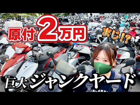 【潜入】バイクの墓場,巨大ジャンクヤードがヤバい。懐かしの名車から激安原付まで一面バイク！ thumbnail