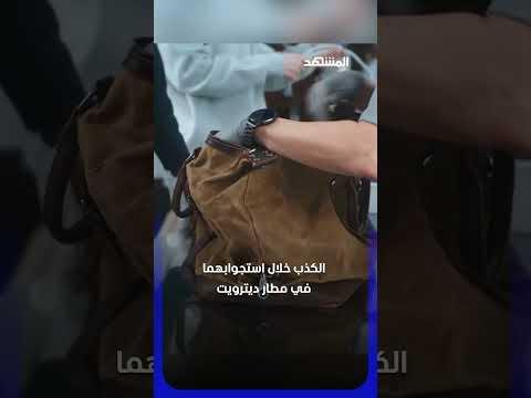 113 قارورة فيروسية.. عالمان يهربان شحنة من فيروس جدري القردة المعطل thumbnail
