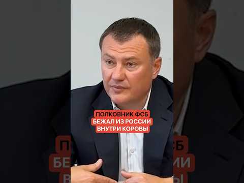 Это как вообще?! Полковник ФСБ бежал из России внутри коровы thumbnail