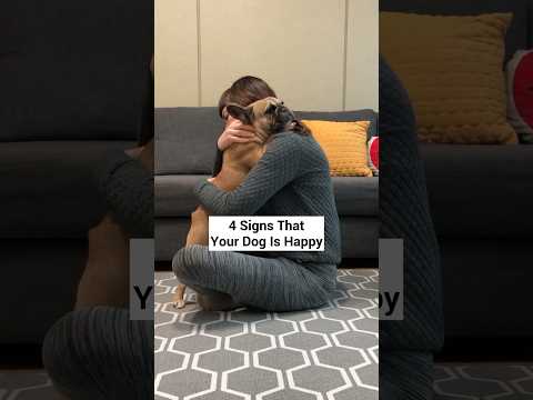 Is Your Dog Happy? thumbnail