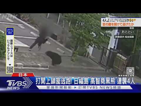 開鎖逃! 日福島襲人黑熊高智商 還會轉水龍頭｜TVBS新聞 @TVBSNEWS01 thumbnail