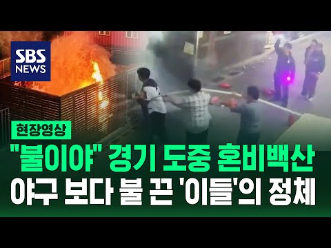 "불이야!" 야구 경기 도중 검은 연기..불 끈 사람들 정체가 (현장영상) / SBS thumbnail