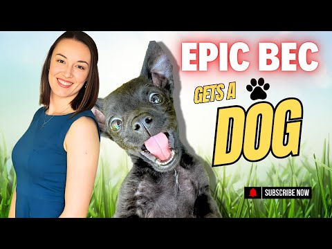 EPIC BEC gets a DOG | Couple Vlog thumbnail